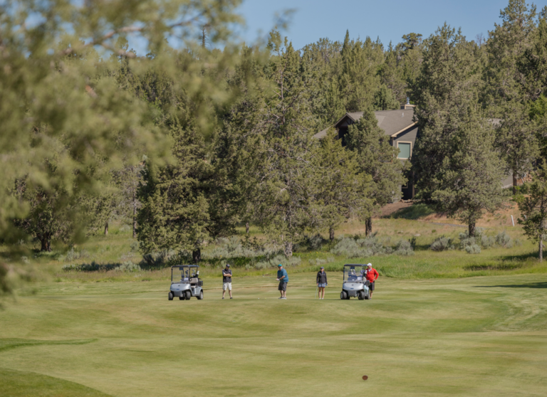 golfers surrounded by trees