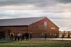 barn with horses